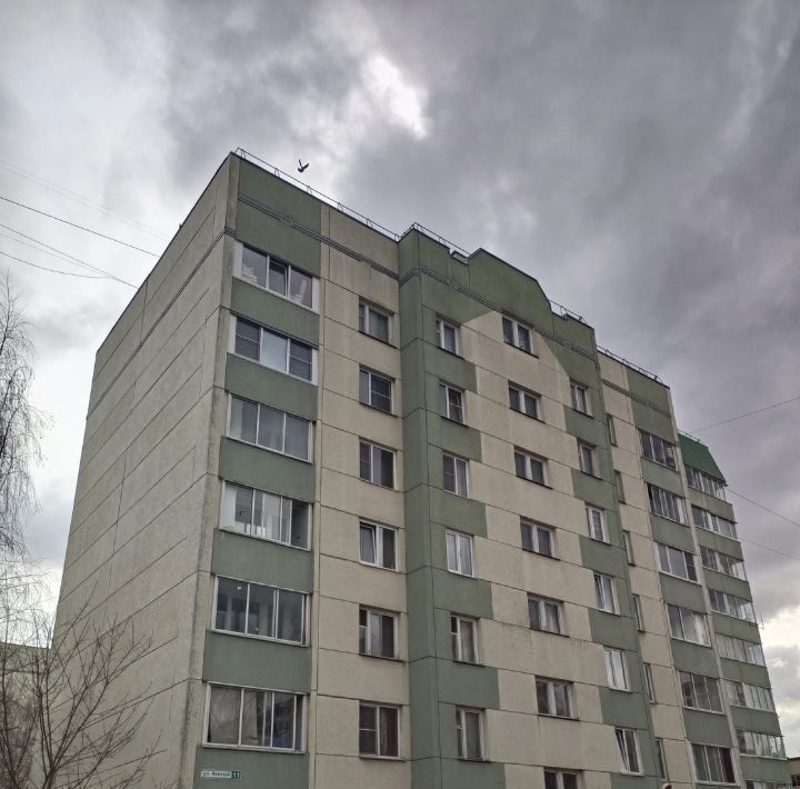квартира г Всеволожск Южный ул Невская 11 Ладожская фото 2