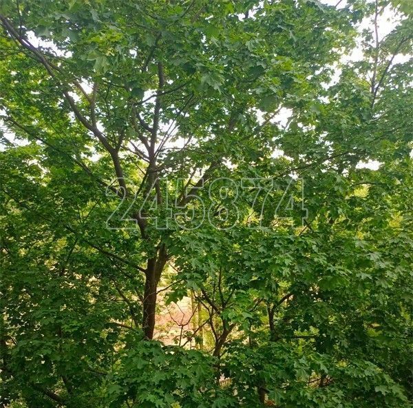 квартира г Москва метро Беговая ул Беговая 6к/3 фото 14