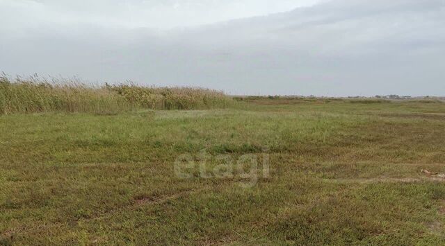 ул Станичная фото