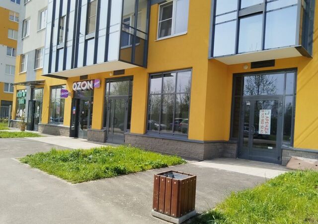 ул Ясная 17к/2 Заневское городское поселение, городской пос. Янино-1 фото