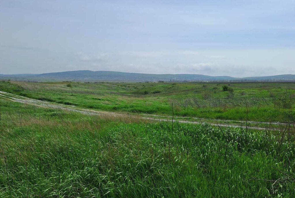 земля р-н Анапский г Анапа ДНТ Дубрава, Жемчужная улица фото 6