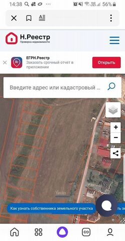 земля Пионерский фото