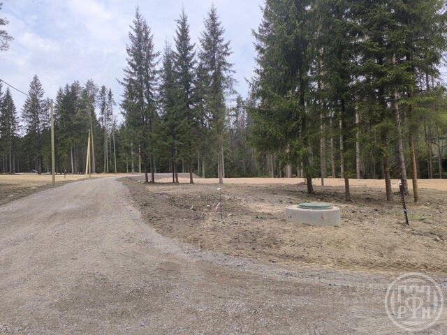 земля п Рощино ул Круговая Рощинское городское поселение фото