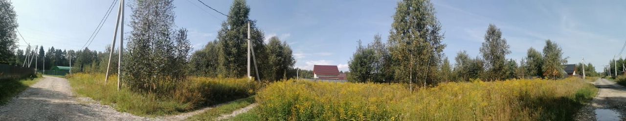 земля городской округ Богородский г Ногинск 48 км, массив Лесной Орешек-1, Горьковское шоссе фото 7