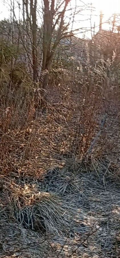 земля городской округ Богородский г Ногинск 48 км, массив Лесной Орешек-1, Горьковское шоссе фото 12