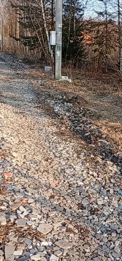 земля городской округ Богородский г Ногинск 48 км, массив Лесной Орешек-1, Горьковское шоссе фото 14