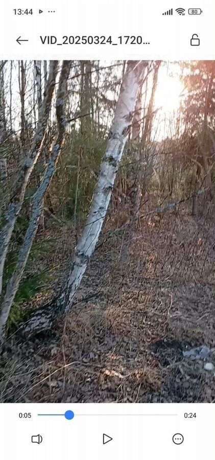 земля городской округ Богородский г Ногинск 48 км, массив Лесной Орешек-1, Горьковское шоссе фото 24