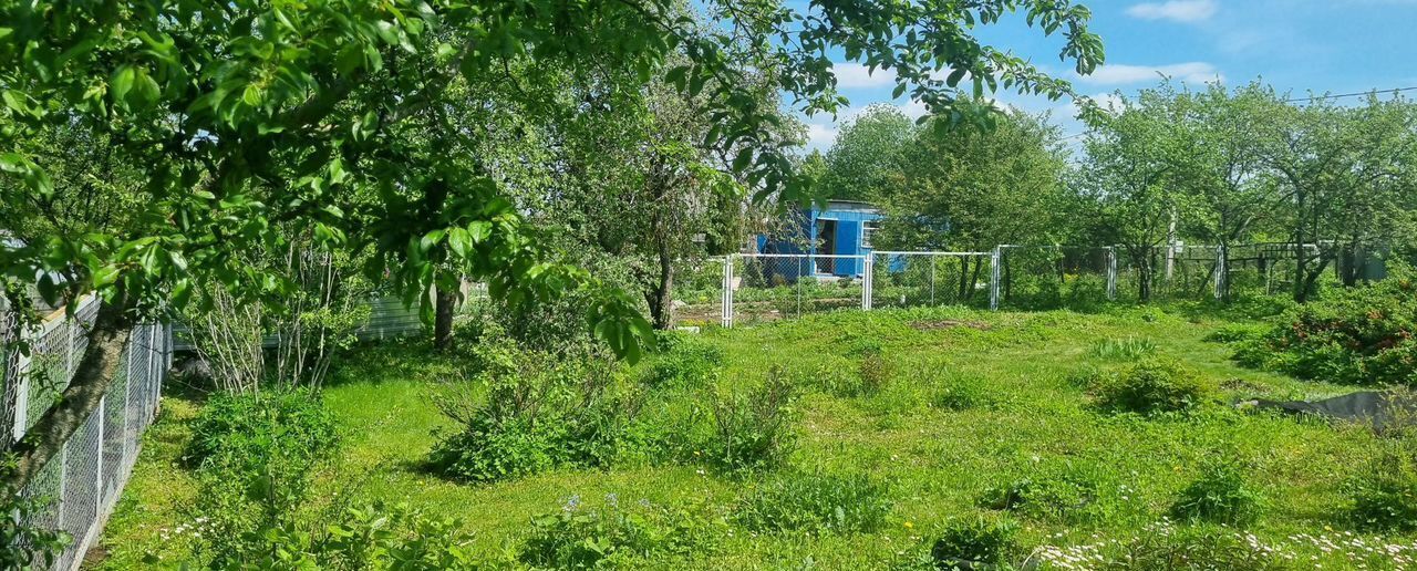 земля г Смоленск р-н Ленинский ш Досуговское 156 фото 6