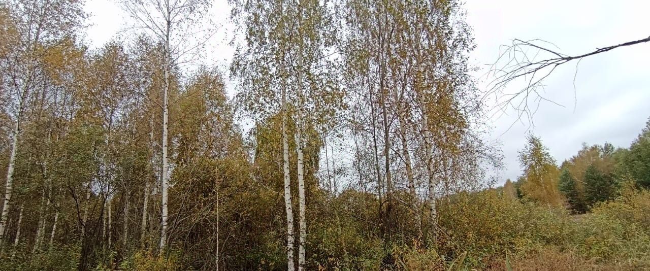 земля г Шатура фото 1
