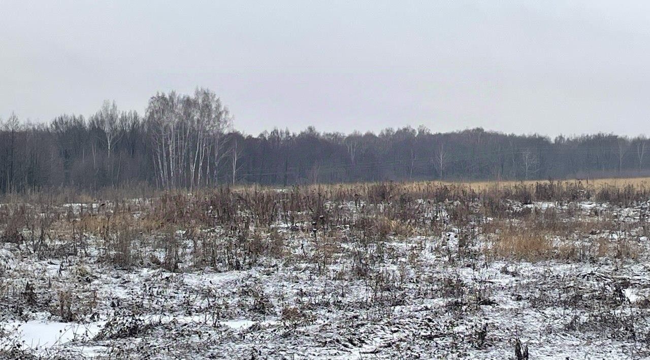 земля г Бронницы фото 1
