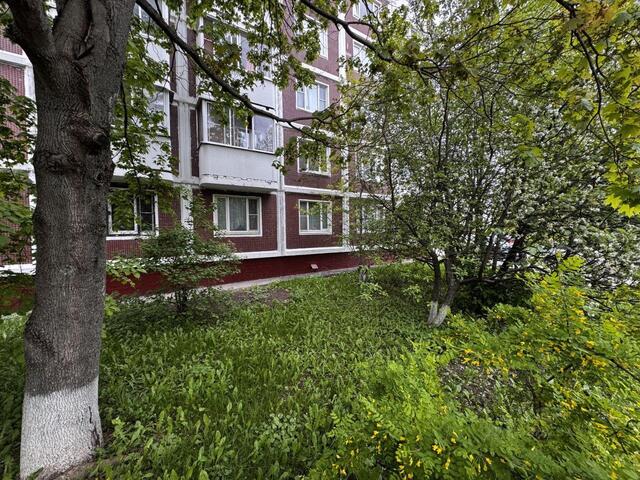 метро Ясенево ЮЗАО дом 19 Московская область фото