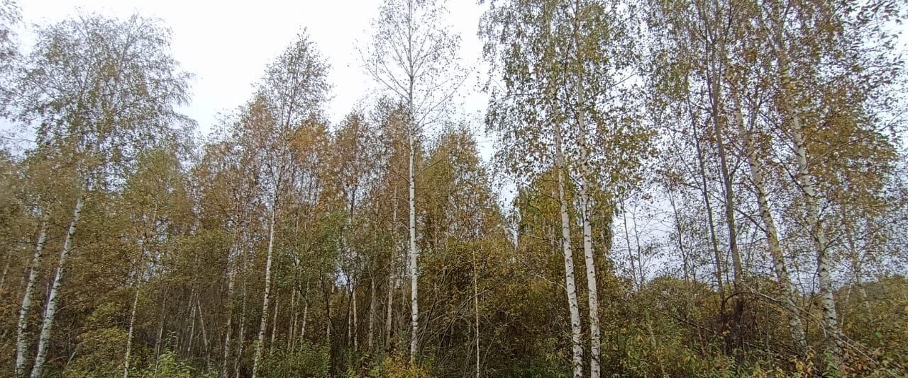 земля г Шатура фото 3