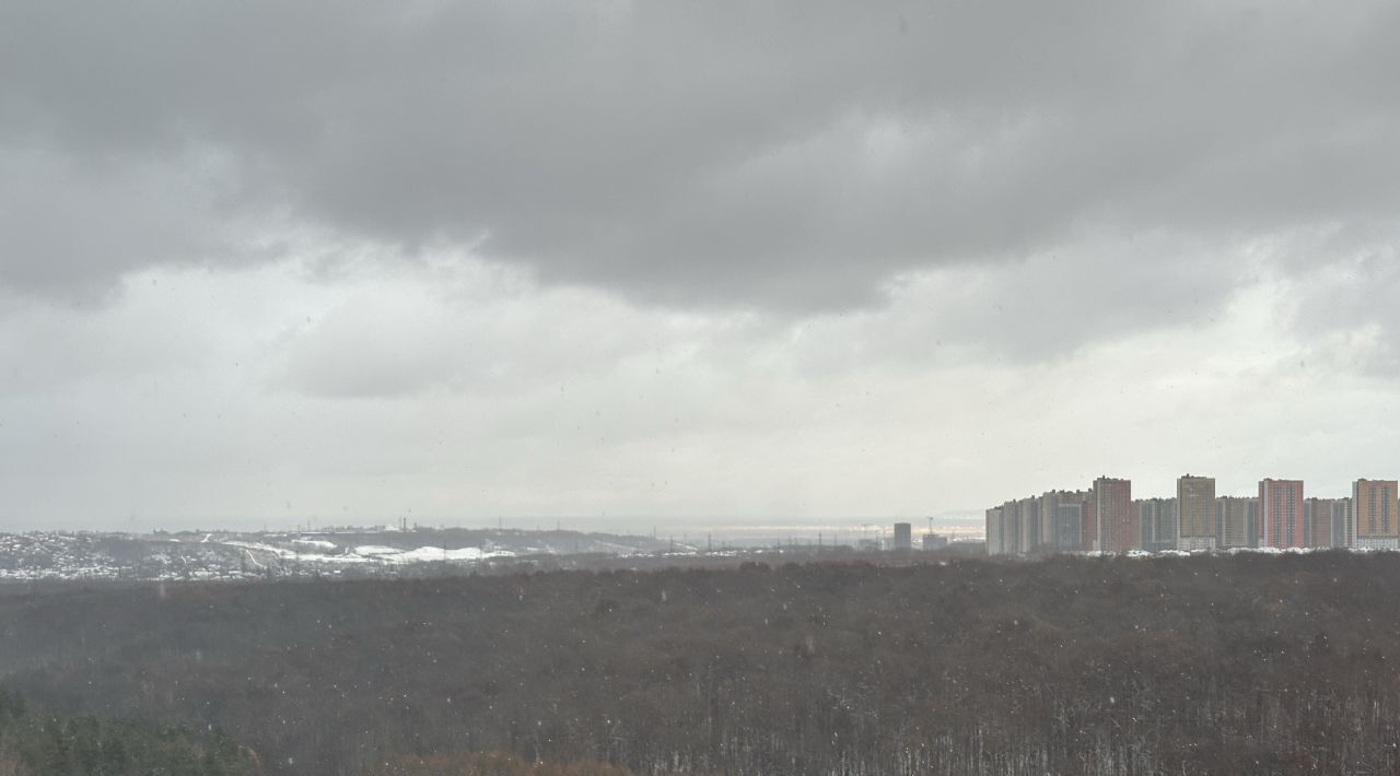 квартира г Нижний Новгород Горьковская ул Академика Сахарова 115 фото 2