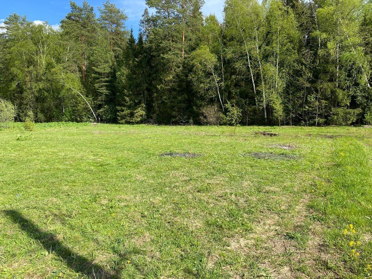 земля г Щёлково Пушкино, Берёзовая улица, 7 фото 1