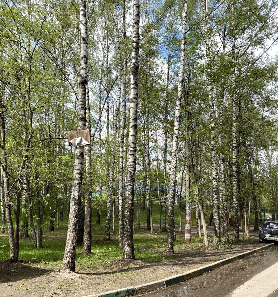 квартира г Нижний Новгород п Щербинки ул Маршала Жукова 22 2 м-н фото 21