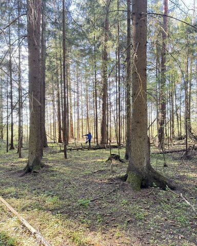 земля 86 км, коттеджный пос. Портфолио экополис, Можайск, Минское шоссе фото