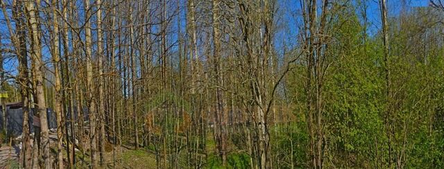 земля п Лебяжье ул Финская Рощинское городское поселение фото
