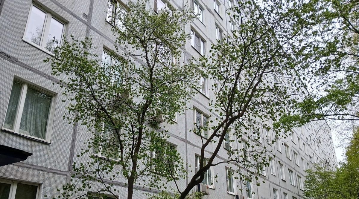 квартира г Королев пр-кт Королева 8 Ростокино фото 14