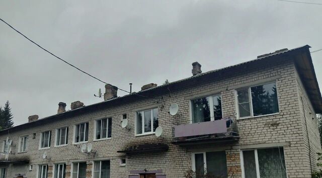 р-н Опочецкий д Петровское ул Парковая 13а фото