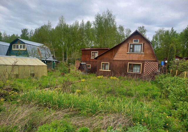 31 км, Электросталь, Носовихинское шоссе, садовое товарищество Берёзка-3 фото
