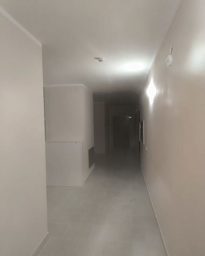 квартира г Воронеж р-н Коминтерновский ул Независимости 55/10 фото 17