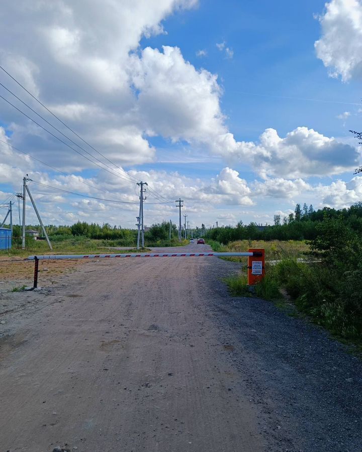 земля г Сосновый Бор Сосновоборский г. о., коттеджный пос. Рублёвка, 69 фото 7