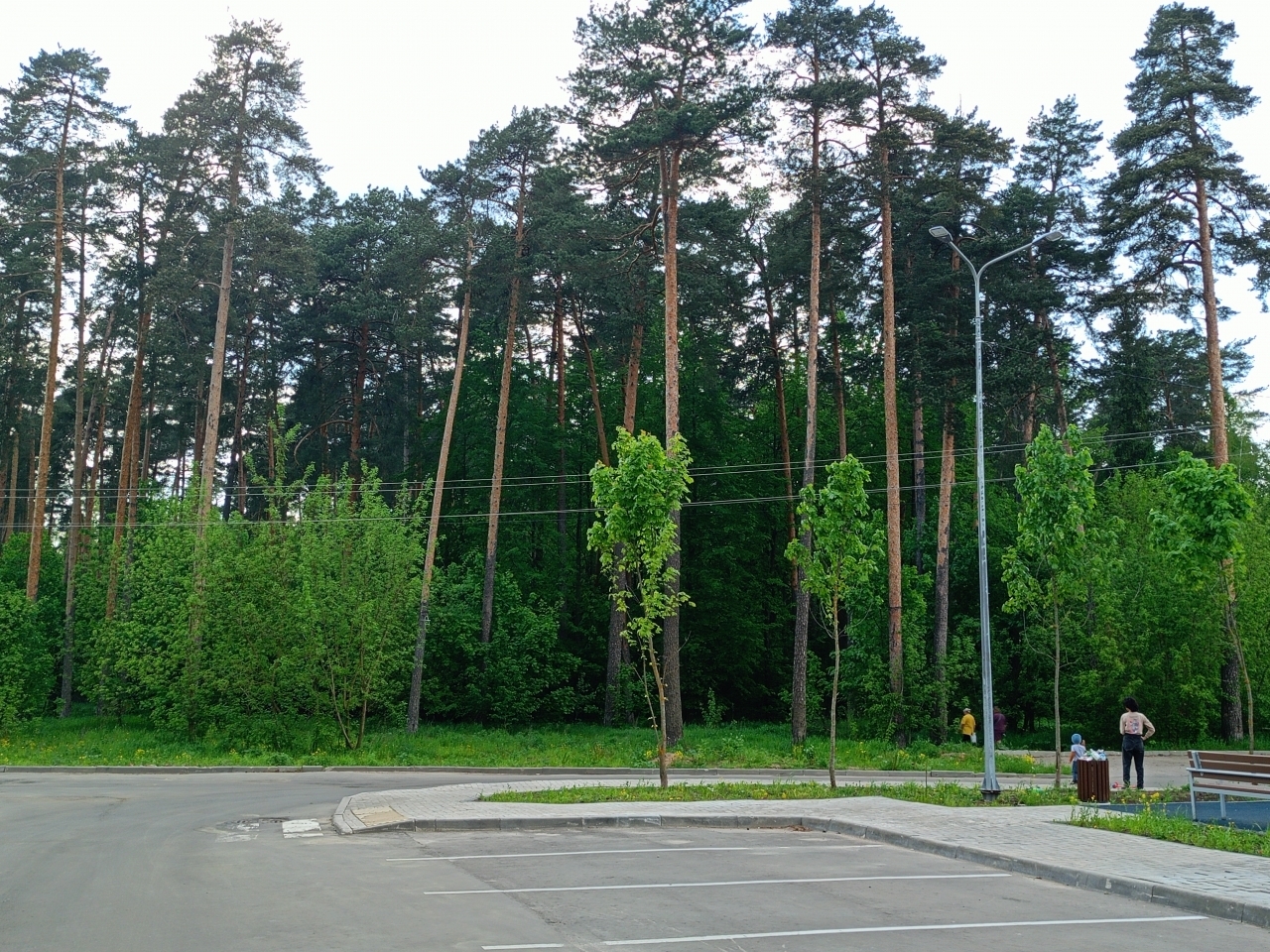 квартира городской округ Пушкинский г Красноармейск Жизнь ул., 8к 1 фото 15