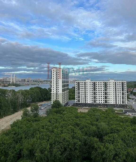 квартира г Новосибирск метро Площадь Гарина-Михайловского ул Ясный Берег 35 фото 17