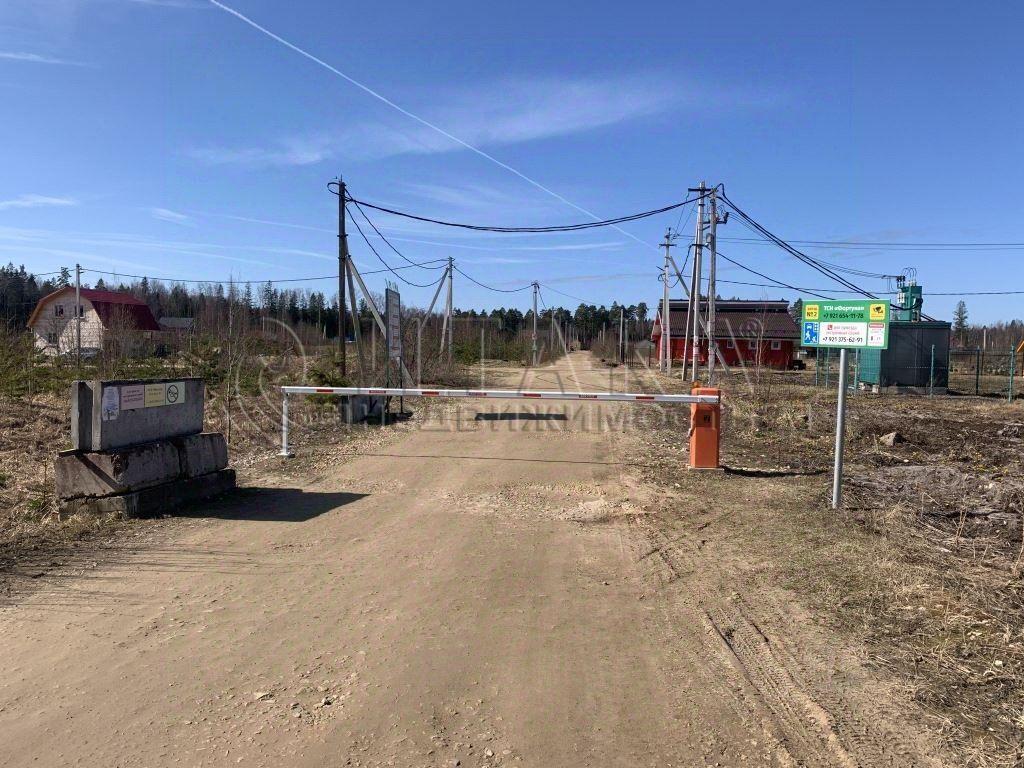земля г Сосновый Бор ул Ольховая Сосновоборский городской округ фото 1