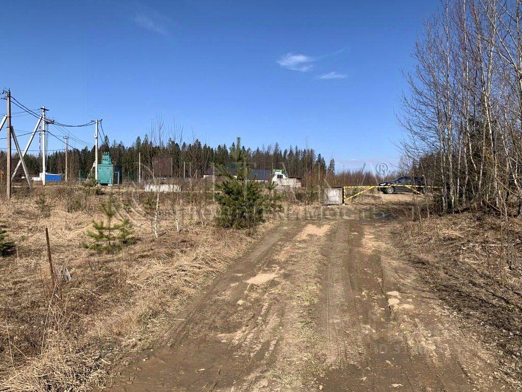 земля г Сосновый Бор ул Ольховая Сосновоборский городской округ фото 10
