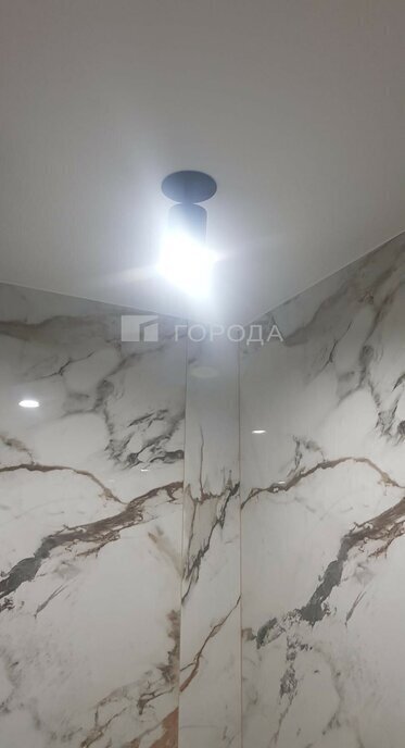 квартира г Новосибирск Золотая Нива ул Татьяны Снежиной 46 фото 12
