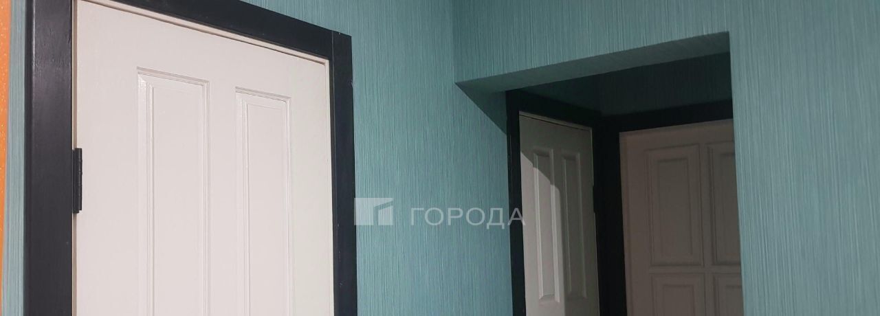 квартира г Новосибирск Золотая Нива ул Татьяны Снежиной 46 фото 10