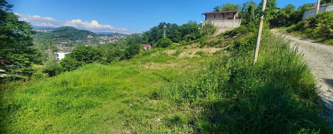земля г Сочи р-н Лазаревский снт тер.Чаевод 145 фото 3