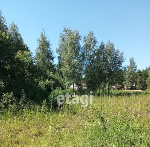 снт Южное ул Садовая Ивангородское городское поселение, Кингисеппский район фото
