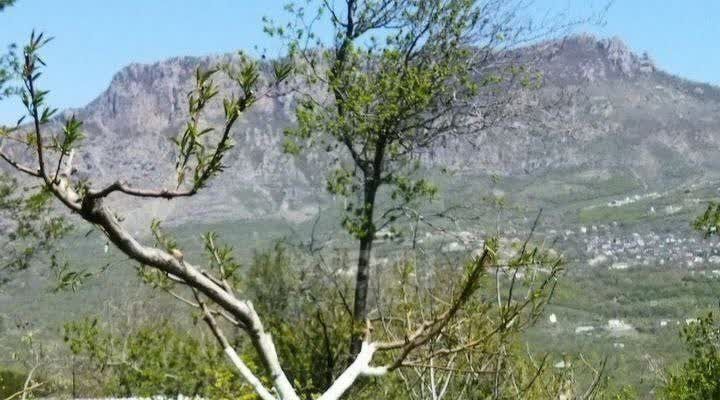 земля г Алушта с Верхняя Кутузовка ул Горная фото 3