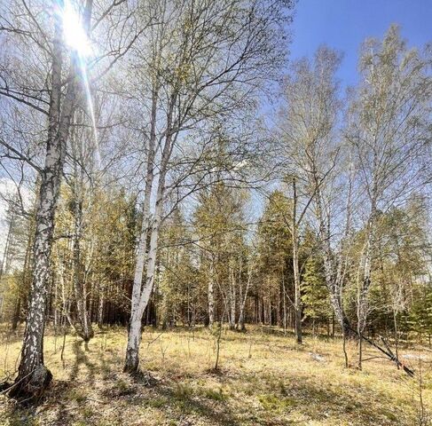 снт Урал Южный управленческий округ, Сысерть фото