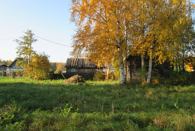 земля снт Бочага фото