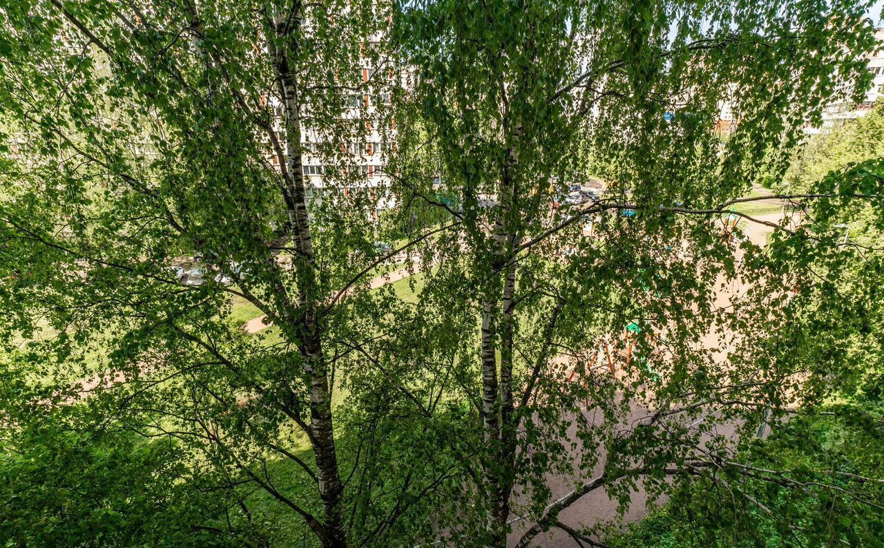 квартира г Санкт-Петербург метро Проспект Просвещения пр-кт Художников 24к/3 фото 15