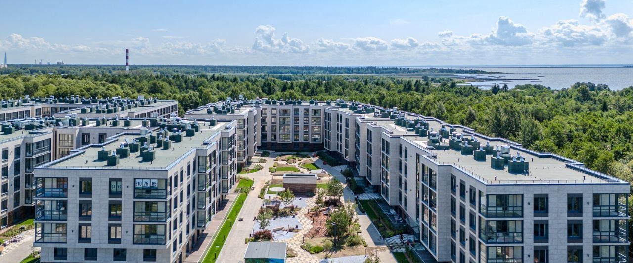 квартира г Сестрорецк ул Инструментальщиков 18 Беговая фото 7
