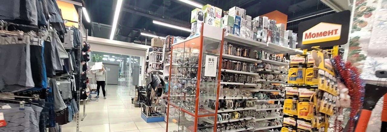 торговое помещение г Великий Новгород наб Колмовская 3 фото 5