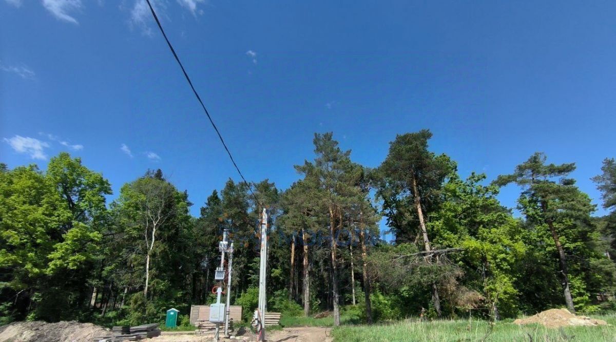 земля г Нижний Новгород ДНП Земляничная Поляна тер. фото 12