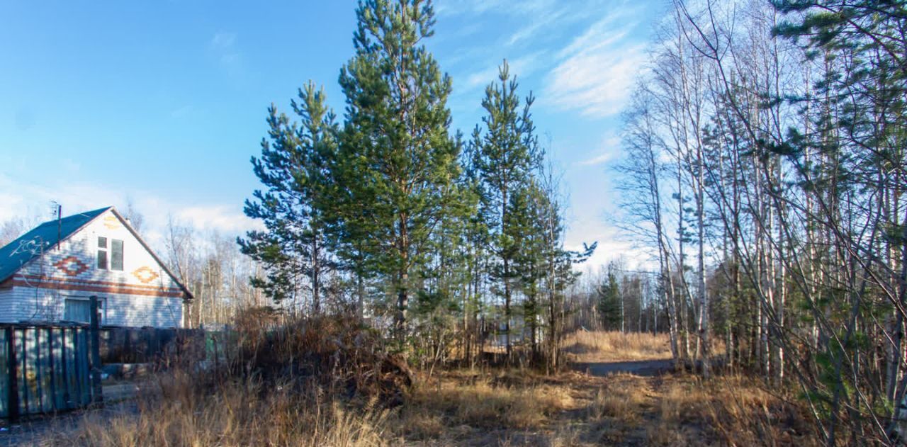 земля г Сургут № 6 Витамин потребительский садово-огороднический кооператив, 1-я линия, 6 фото 19