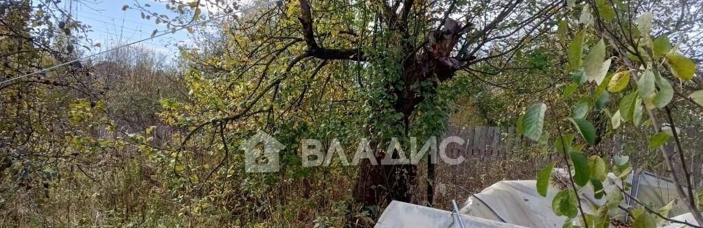дом р-н Камешковский г Камешково ул Карла Либкнехта 19 городское поселение Камешково фото 17