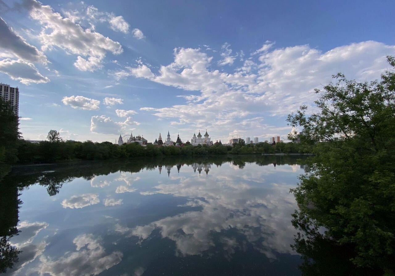 квартира г Москва метро Измайловская проезд Заводской 11 муниципальный округ Измайлово фото 20