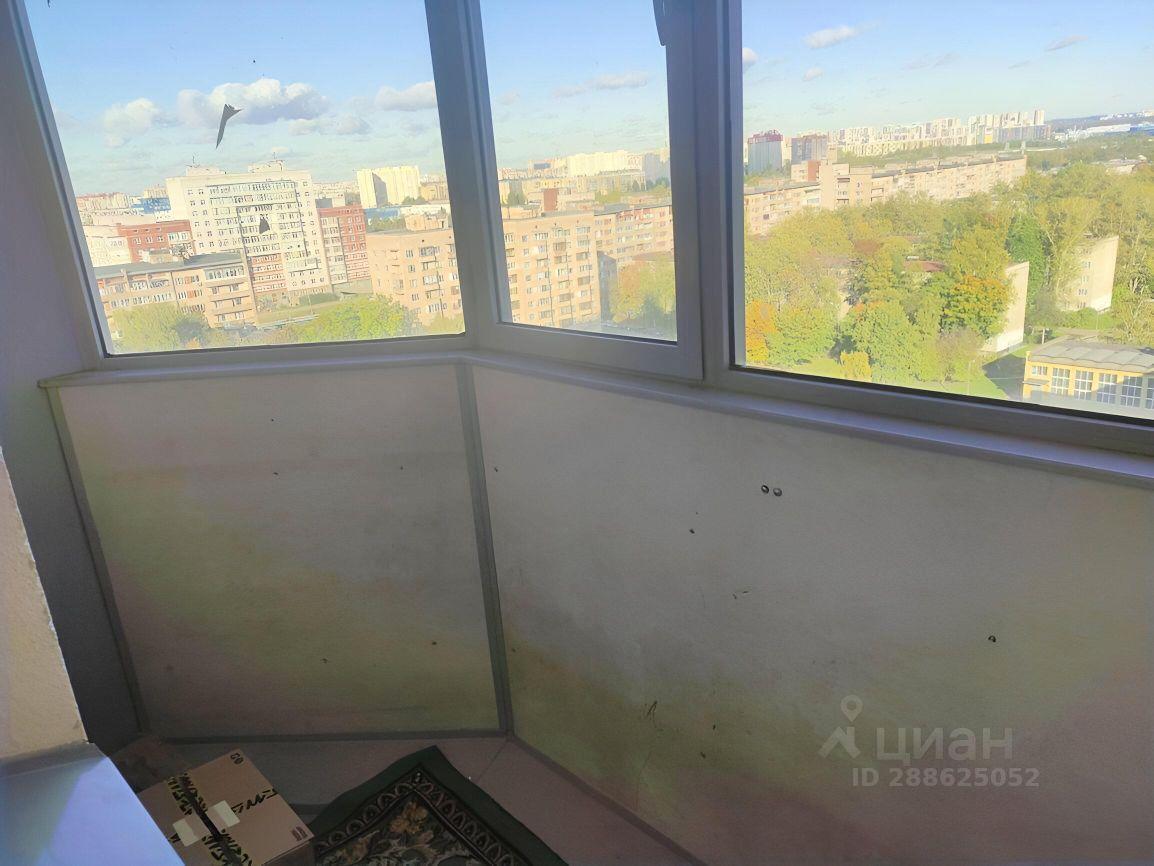 квартира г Санкт-Петербург р-н Невский ул Народная 53/3 Ленинградская область фото 12