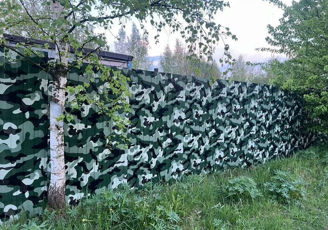 р-н Красносельский коллективное огородничество Сосново-Полянское фото