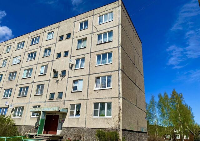 г Медвежьегорск ул Ленина 29 Медвежьегорское городское поселение фото