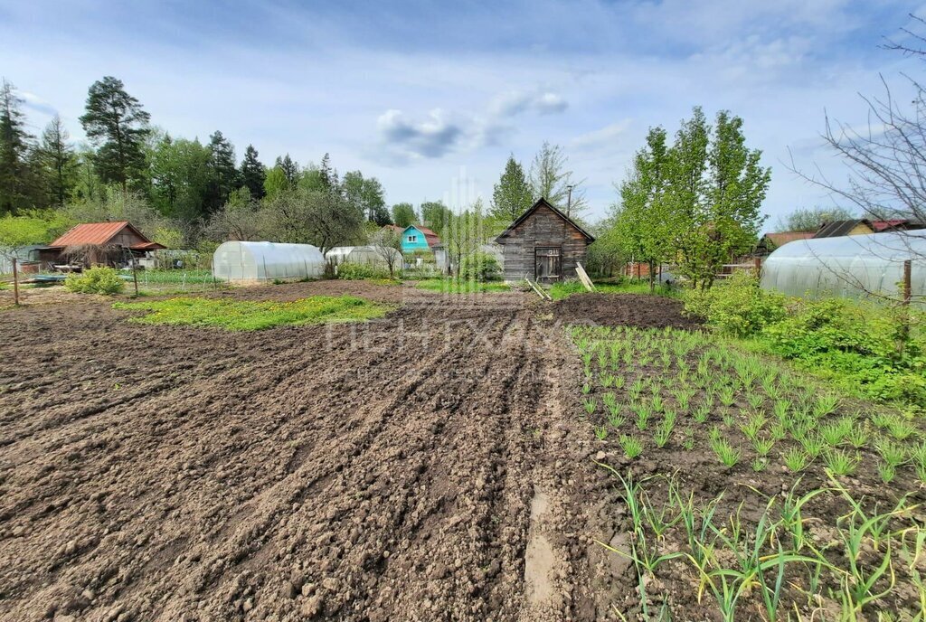 земля г Владимир снт Автомобилист 11-я линия фото 3