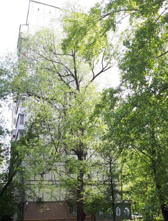 квартира г Москва ул Народного Ополчения 42к/3 поле, Октябрьское фото 8