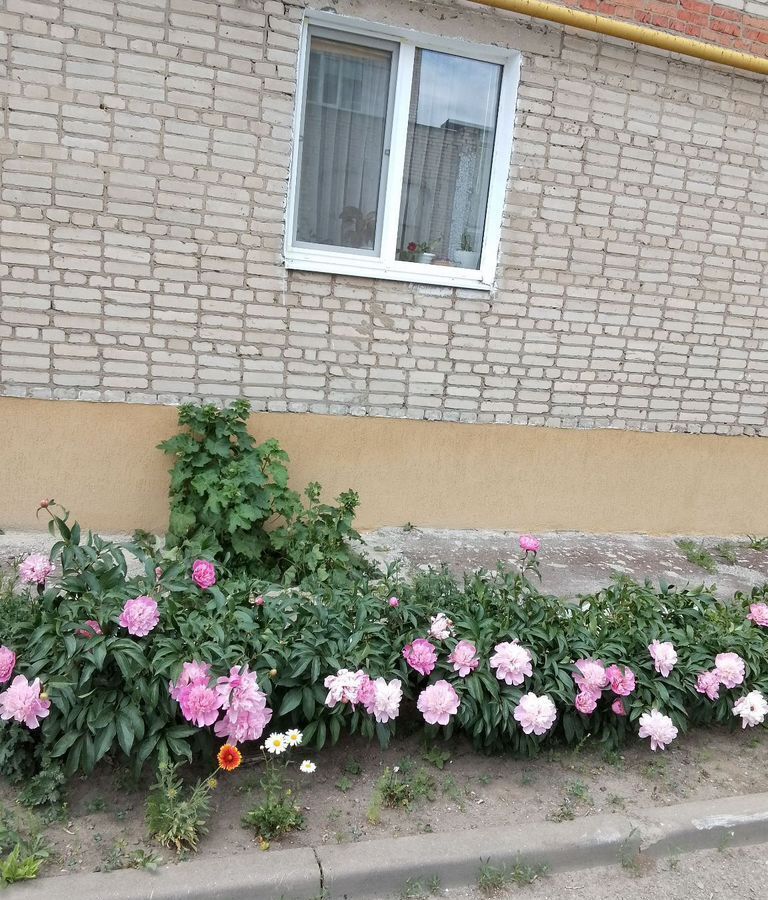 квартира р-н Красносулинский г Красный Сулин ул 50 лет Октября 24 мкр-н имени 50 лет Октября фото 12